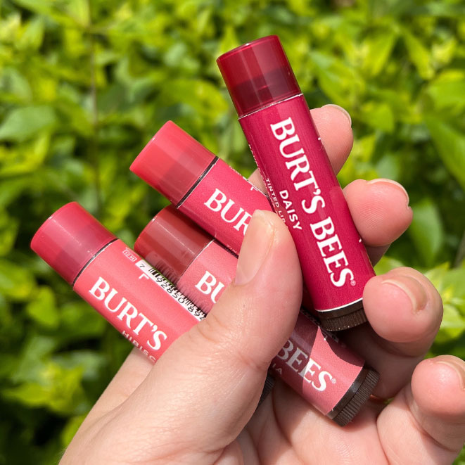 inexpensive natural makeup by Burt's Bees